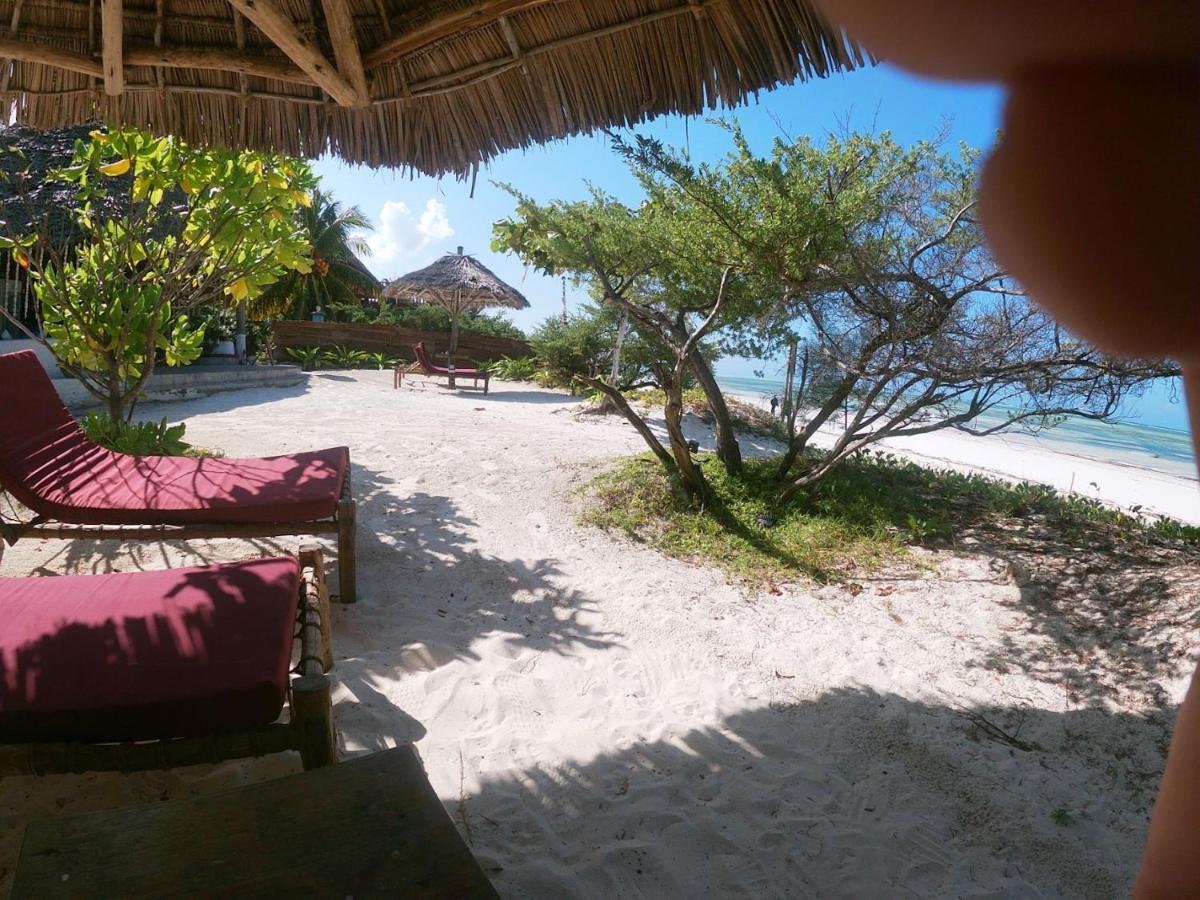 Kilimani Kwetu Beach Hotel Bwejuu Extérieur photo