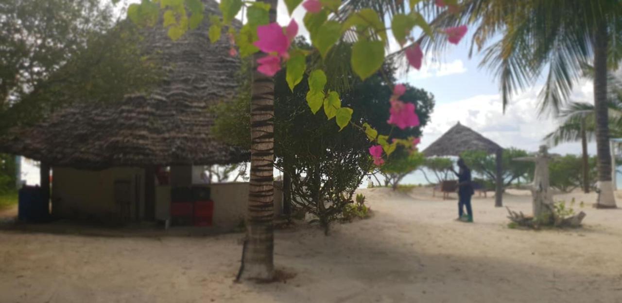 Kilimani Kwetu Beach Hotel Bwejuu Extérieur photo