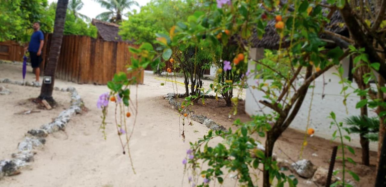 Kilimani Kwetu Beach Hotel Bwejuu Extérieur photo