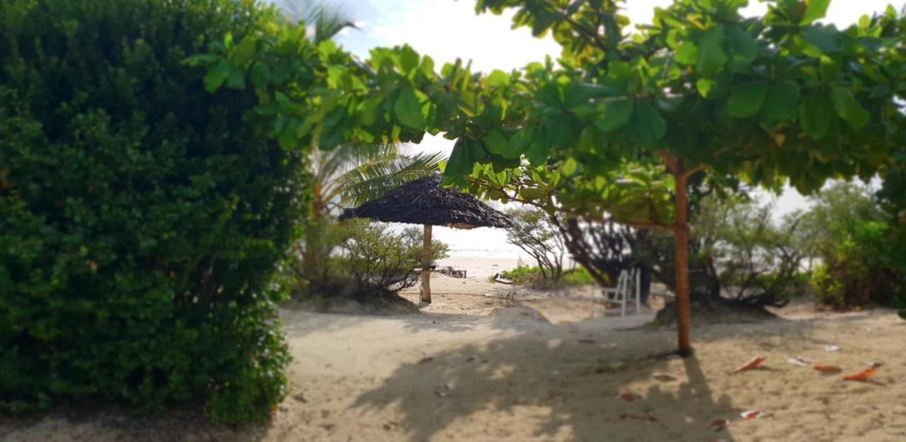Kilimani Kwetu Beach Hotel Bwejuu Extérieur photo